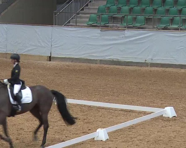 Reitturnier Kreuth 2023