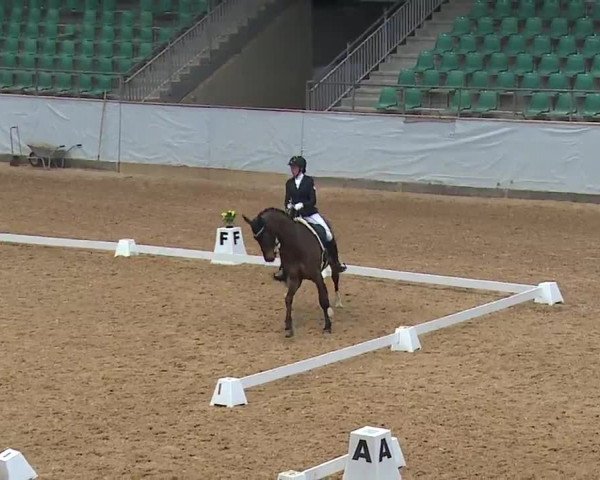 Reitturnier Kreuth 2023