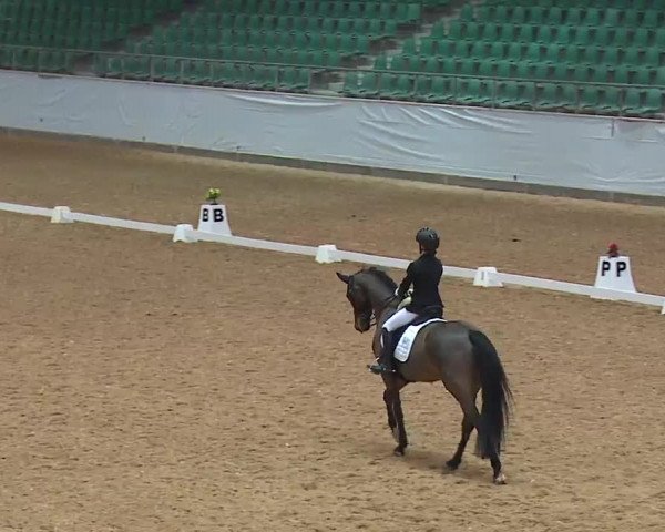 Reitturnier Kreuth 2023