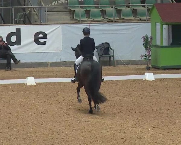 Reitturnier Kreuth 2023
