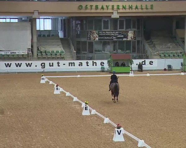 Reitturnier Kreuth 2023