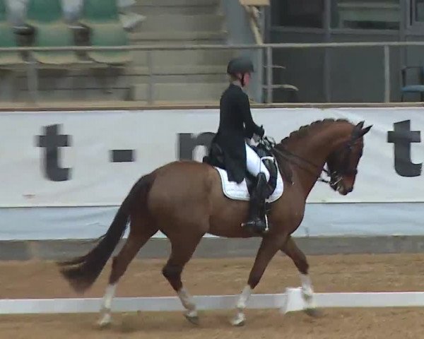 Reitturnier Kreuth 2023