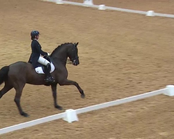 Reitturnier Kreuth 2023