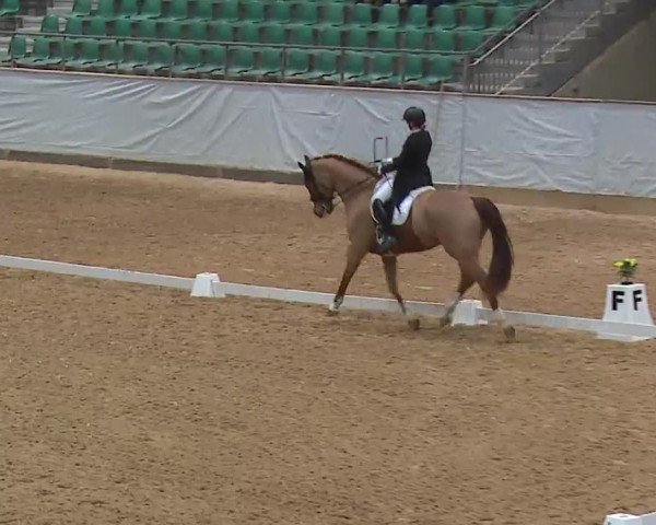 Reitturnier Kreuth 2023