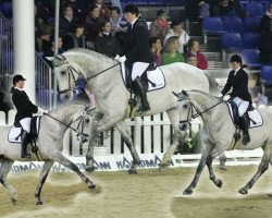 dressage horse William LH (Westphalian, 1998, from Wessex)