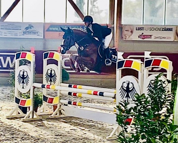 jumper Chacalia M (Rhinelander, 2018, from Chacfly PS) jumper Chacalia M (Rhinelander, 2018, from Chacfly PS)