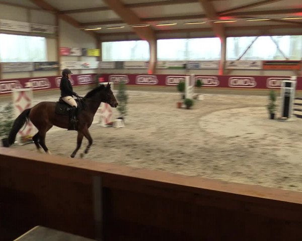 Reitturnier Goch-Asperden 2023
