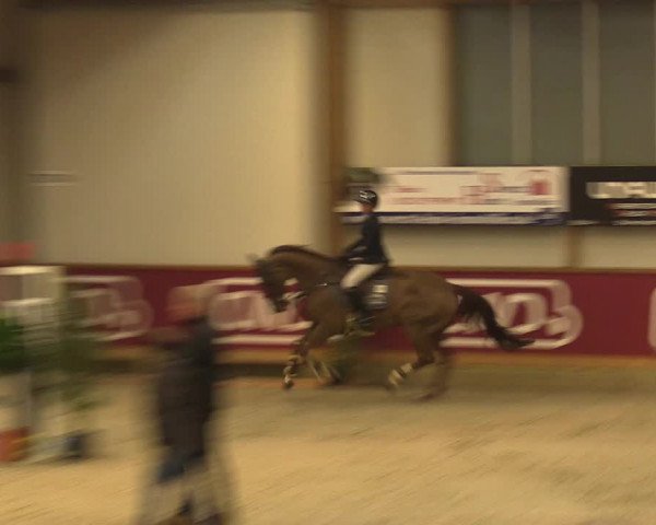 Reitturnier Goch-Asperden 2023