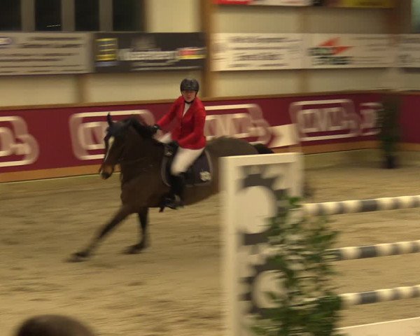 Reitturnier Goch-Asperden 2023