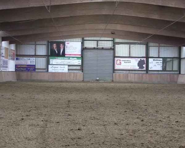 Reitturnier Rhede 2023