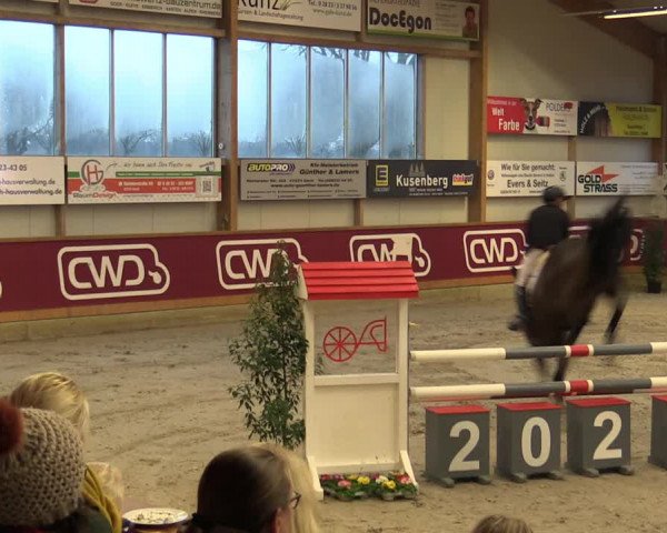 Reitturnier Goch-Asperden 2023