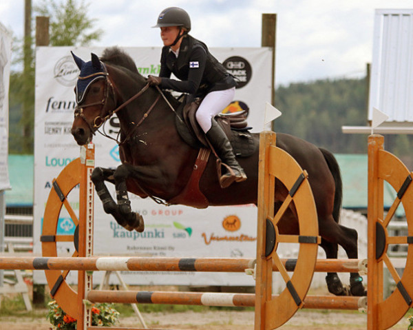 horse Orchid's Vienna (New Forest Pony, 2007, from Kantje's Carlando)