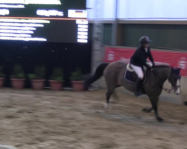 Reitturnier Velen 2023