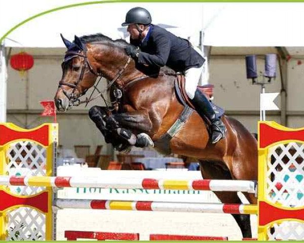 stallion Landrebell (Oldenburg, 1994, from Landadel)