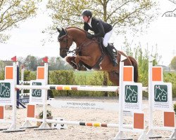 stallion Vigotendro (Zangersheide riding horse, 2016, from Vigo d'Arsouilles)