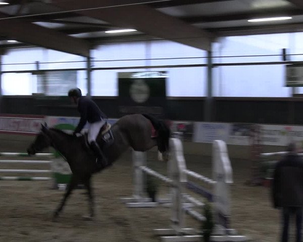 Reitturnier Velen 2023