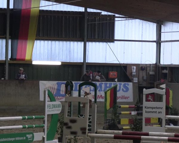 Reitturnier Velen 2023