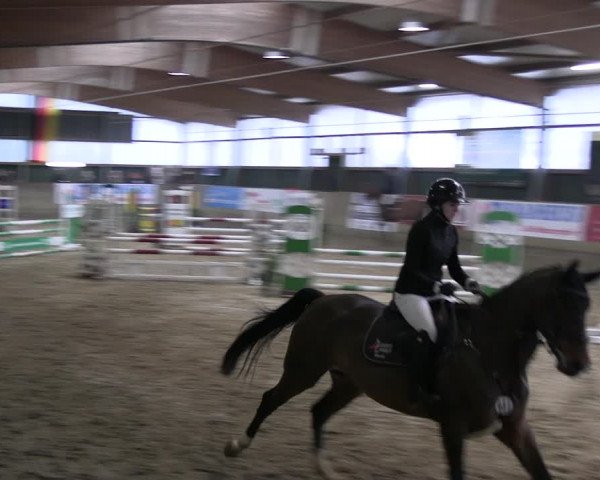 Reitturnier Velen 2023