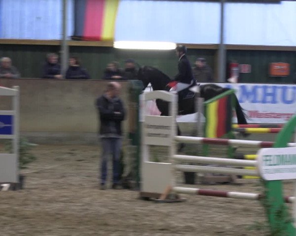 Reitturnier Velen 2023