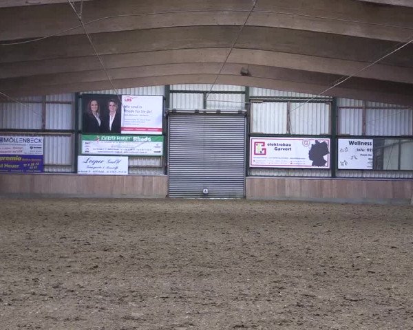 Reitturnier Rhede 2023