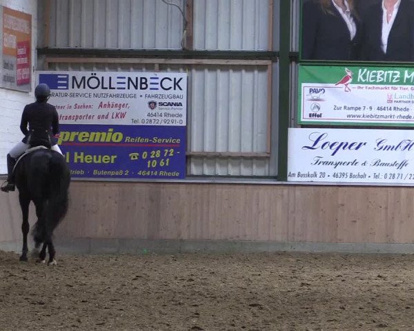 Reitturnier Rhede 2023