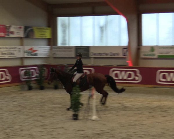 Reitturnier Goch-Asperden 2023