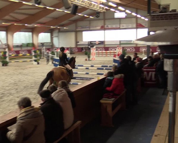 Reitturnier Goch-Asperden 2023