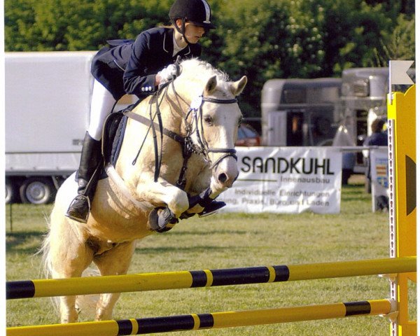 Pferd Total Eclipse (Welsh Pony (Sek.B),  , von Arthen Madog)