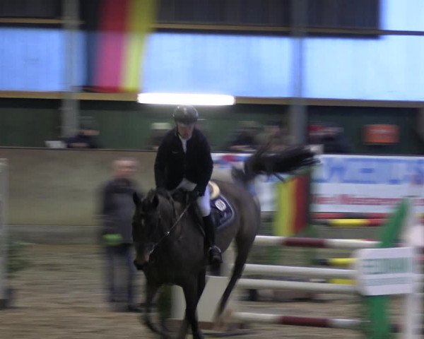 Reitturnier Velen 2023
