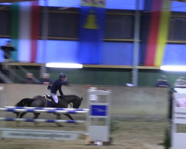 Reitturnier Velen 2023
