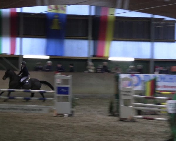 Reitturnier Velen 2023