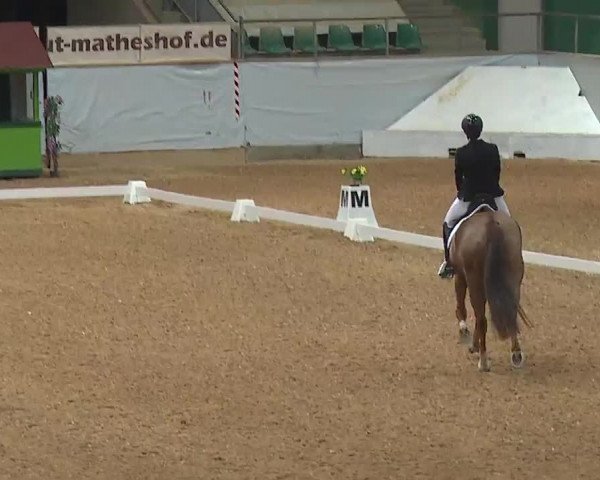 Reitturnier Kreuth 2023