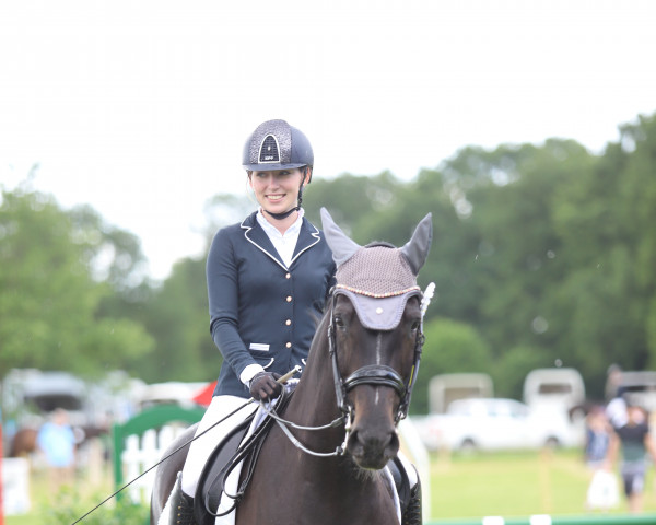 Dressurpferd Donna Cara 22 (Holsteiner, 2011, von Casall Ask)
