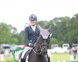 dressage horse Donna Cara 22 (Holsteiner, 2011, from Casall Ask)