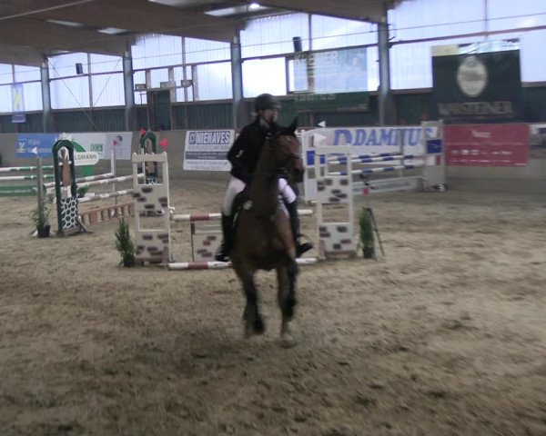 Reitturnier Velen 2023
