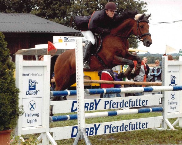 jumper Charly Brown 117 (Brandenburg, 1995, from Cincinatti)
