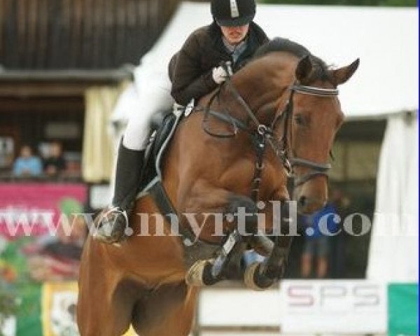 horse Santana (Hanoverian,  , from Satisfaction II 169 FIN)