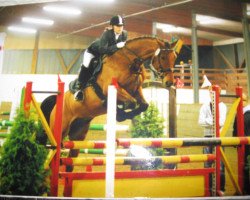 dressage horse Lovely Luca (Oldenburg, 2001, from Landor S)
