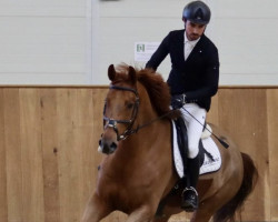 Springpferd Mary Ann 12 (Westfale, 2016, von Cornet's Diamond SN)