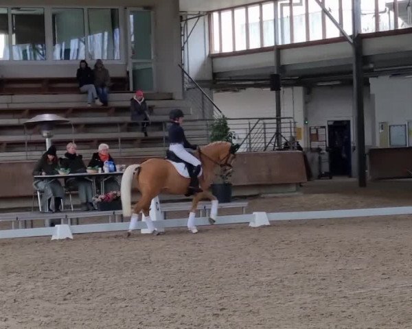 Video of Peach