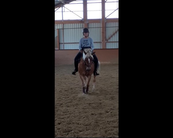 Video of Laska 184
