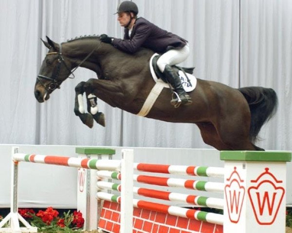 jumper Perhaps 28 (Westphalian, 2003, from Popcorn)