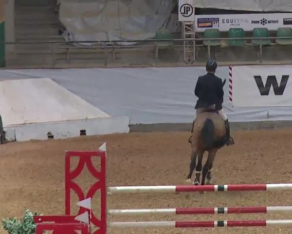 Reitturnier Kreuth 2023