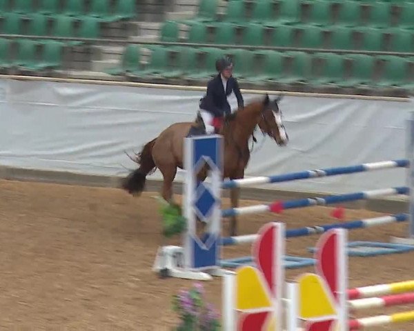 Reitturnier Kreuth 2023
