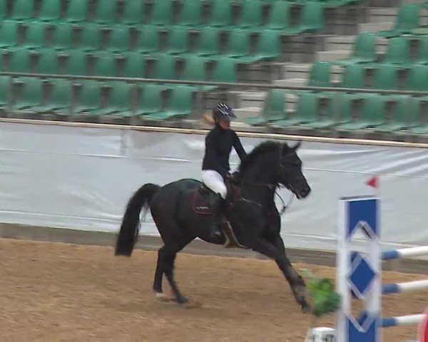 Reitturnier Kreuth 2023