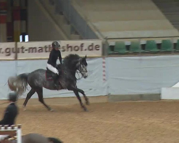 Reitturnier Kreuth 2023