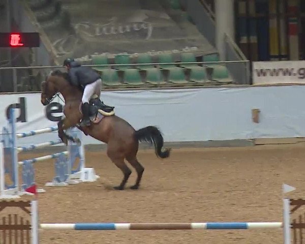 Reitturnier Kreuth 2023