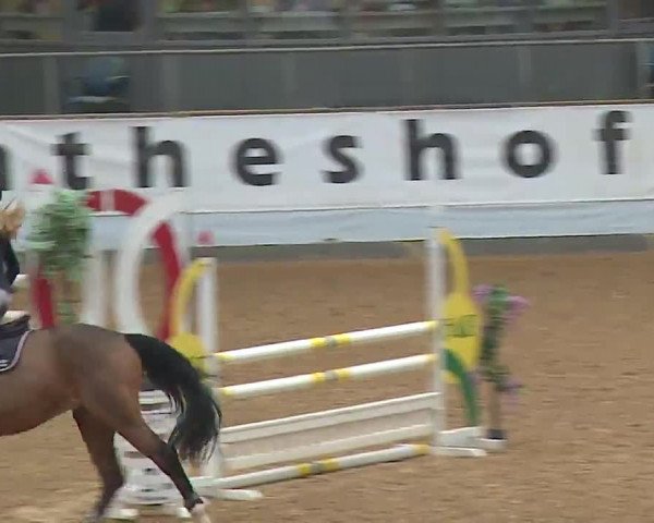 Reitturnier Kreuth 2023
