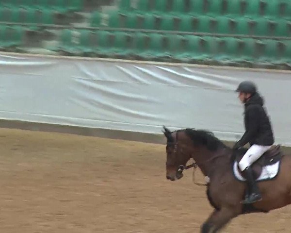 Reitturnier Kreuth 2023