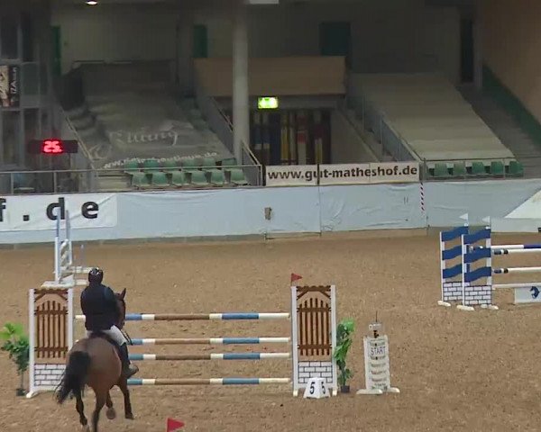 Reitturnier Kreuth 2023